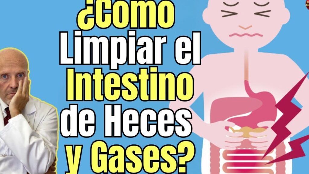 Cómo limpiar el intestino de heces y gases: remedios naturales