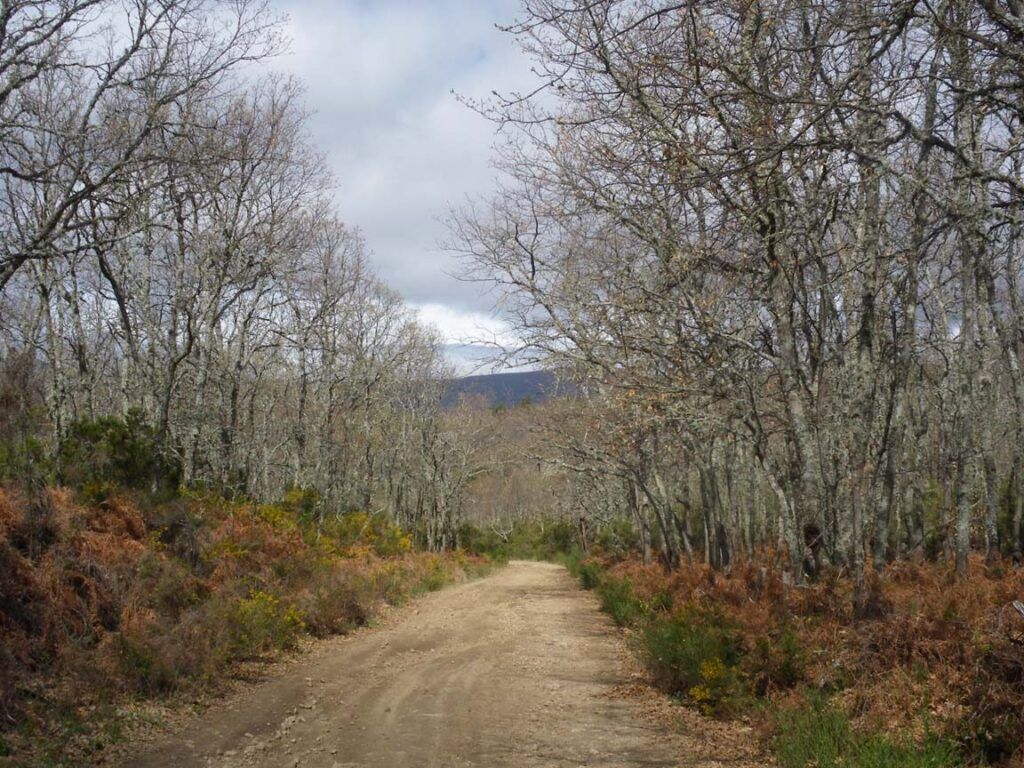Dónde empieza la ruta de los espejos en la Sierra de Francia – Atrochando
