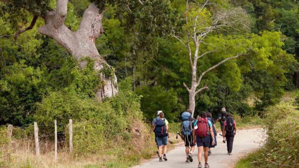 Camino de Santiago: ¿Cuál es la distancia más corta?